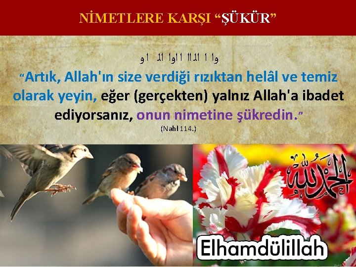 NİMETLERE KARŞI “ŞÜKÜR” ﻭﺍ ﺍ ﺍﻟ ﺍﺍ ﺍ ﺍﻭﺍ ﺍﻟ ﺍ ﻭ “Artık, Allah'ın