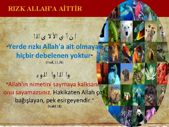 RIZK ALLAH’A AİTTİR ﺍ ﻥ آ ﻱ ﺍﻷ ﻻ ﻯ ﺍﻟ ﺍ “ Yerde