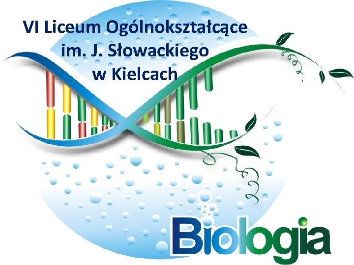 VI Liceum Oglnoksztacce im J Sowackiego w Kielcach