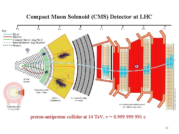 Compact Muon Solenoid (CMS) Detector at LHC proton-antiproton collider at 14 Te. V, v