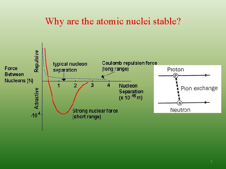 Why are the atomic nuclei stable? 8 