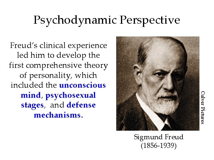 Psychodynamic Perspective Culver Pictures Freud’s clinical experience led him to develop the first comprehensive