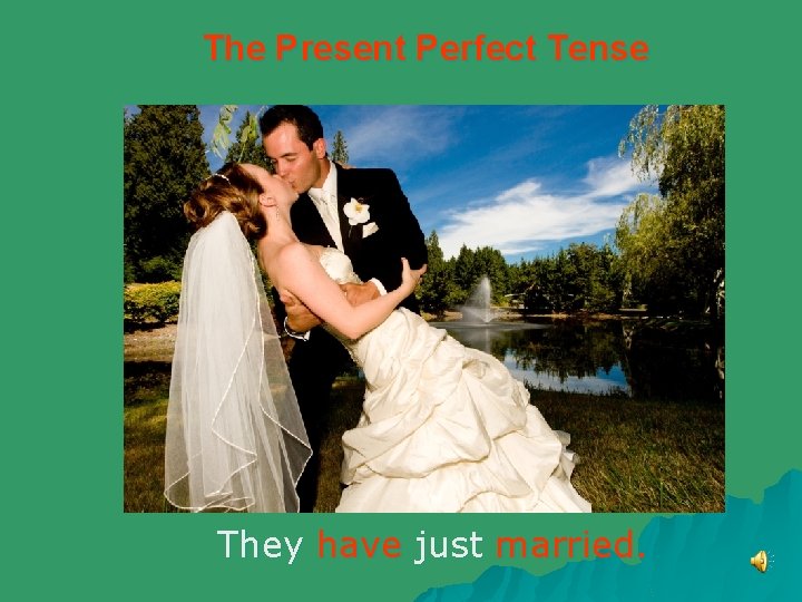 The Present Perfect Tense They have just married. 