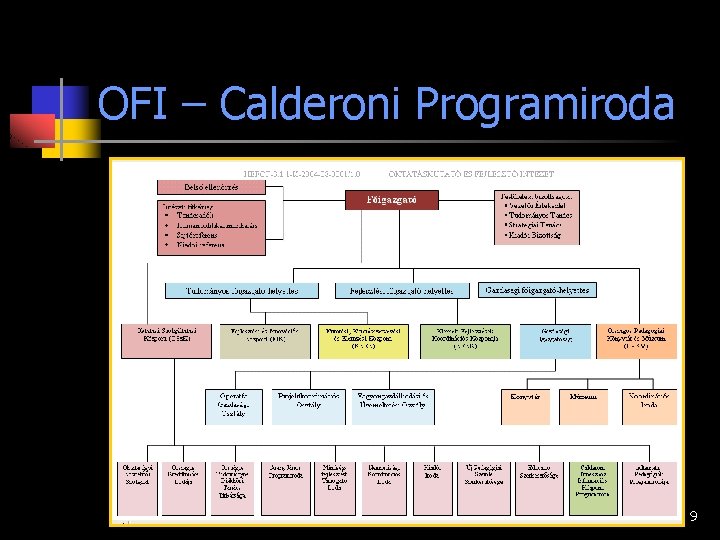 OFI – Calderoni Programiroda 9 