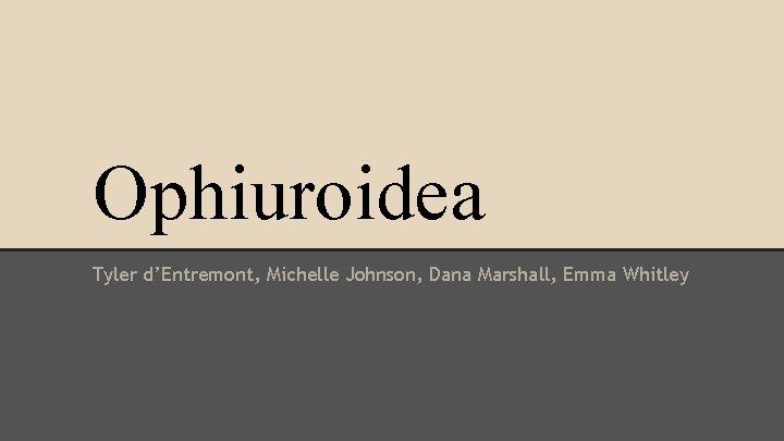 Ophiuroidea Tyler d’Entremont, Michelle Johnson, Dana Marshall, Emma Whitley 