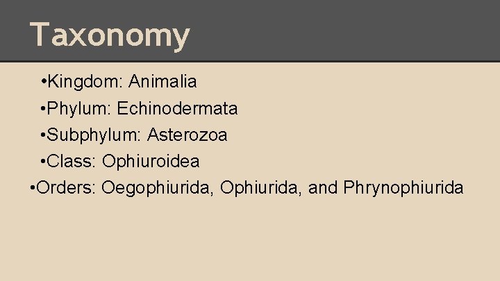 Taxonomy • Kingdom: Animalia • Phylum: Echinodermata • Subphylum: Asterozoa • Class: Ophiuroidea •