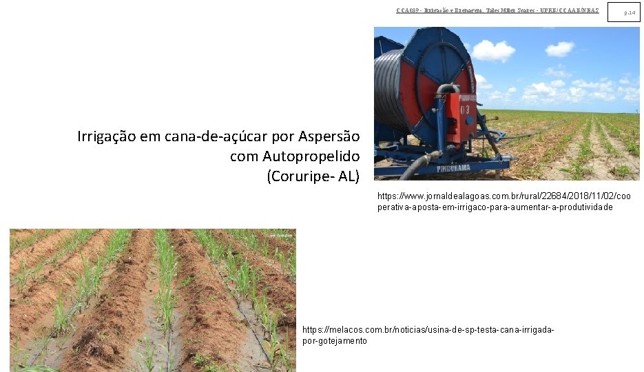 CCA 039 - Irrigação e Drenagem. Tales Miler Soares - UFRB/CCAAB/NEAS p. 14 Irrigação CCA 039 - Irrigação e Drenagem. Tales Miler Soares - UFRB/CCAAB/NEAS p. 14 Irrigação