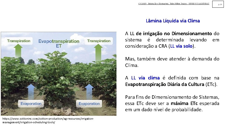 CCA 039 - Irrigação e Drenagem. Tales Miler Soares - UFRB/CCAAB/NEAS p. 29 Lâmina CCA 039 - Irrigação e Drenagem. Tales Miler Soares - UFRB/CCAAB/NEAS p. 29 Lâmina