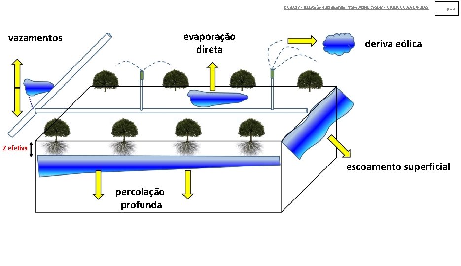 CCA 039 - Irrigação e Drenagem. Tales Miler Soares - UFRB/CCAAB/NEAS evaporação direta vazamentos CCA 039 - Irrigação e Drenagem. Tales Miler Soares - UFRB/CCAAB/NEAS evaporação direta vazamentos