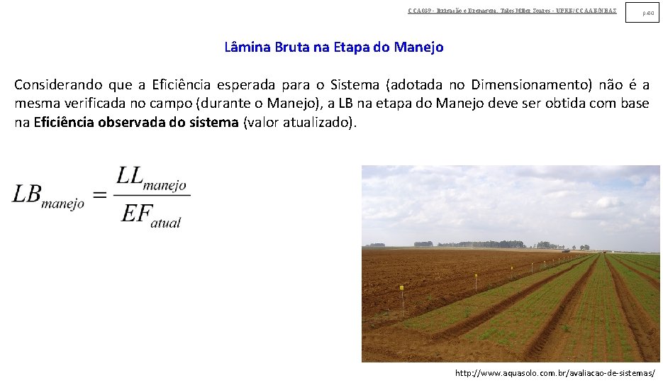 CCA 039 - Irrigação e Drenagem. Tales Miler Soares - UFRB/CCAAB/NEAS p. 60 Lâmina CCA 039 - Irrigação e Drenagem. Tales Miler Soares - UFRB/CCAAB/NEAS p. 60 Lâmina
