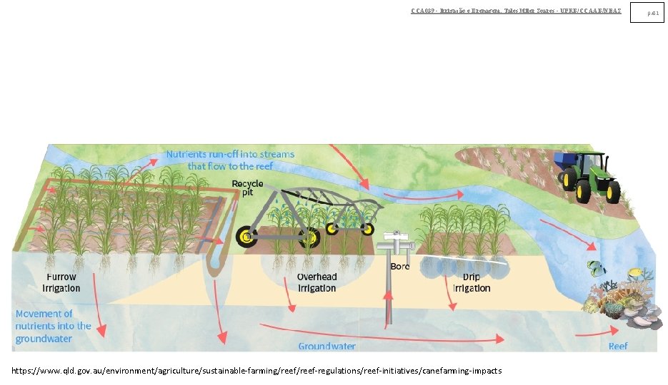 CCA 039 - Irrigação e Drenagem. Tales Miler Soares - UFRB/CCAAB/NEAS https: //www. qld. CCA 039 - Irrigação e Drenagem. Tales Miler Soares - UFRB/CCAAB/NEAS https: //www. qld.