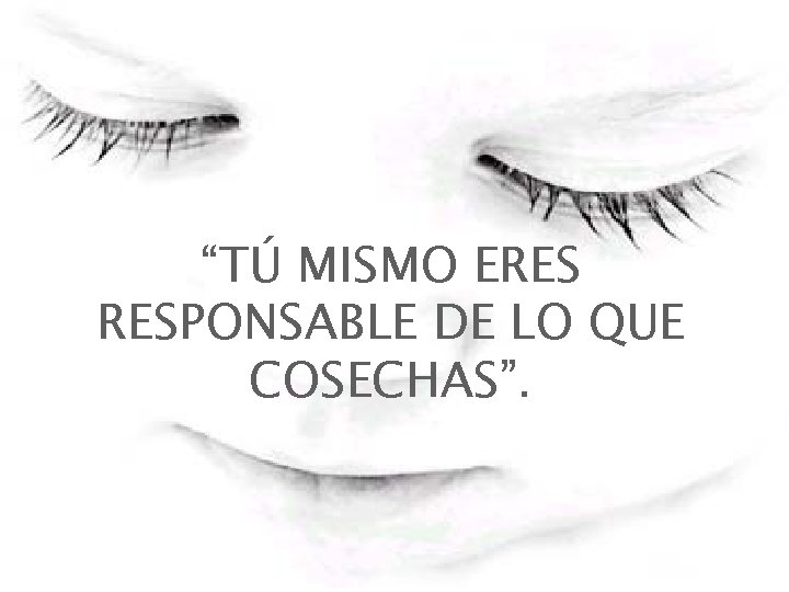 “TÚ MISMO ERES RESPONSABLE DE LO QUE COSECHAS”. “TÚ MISMO ERES RESPONSABLE DE LO QUE COSECHAS”.