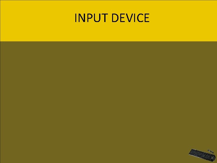 INPUT DEVICE 