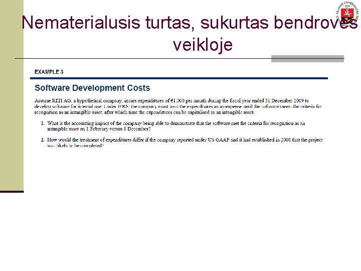 Nematerialusis turtas, sukurtas bendrovės veikloje 