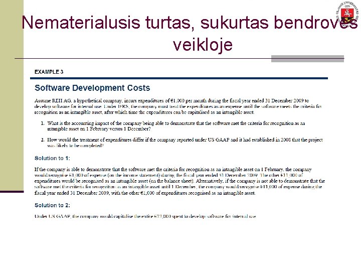 Nematerialusis turtas, sukurtas bendrovės veikloje 