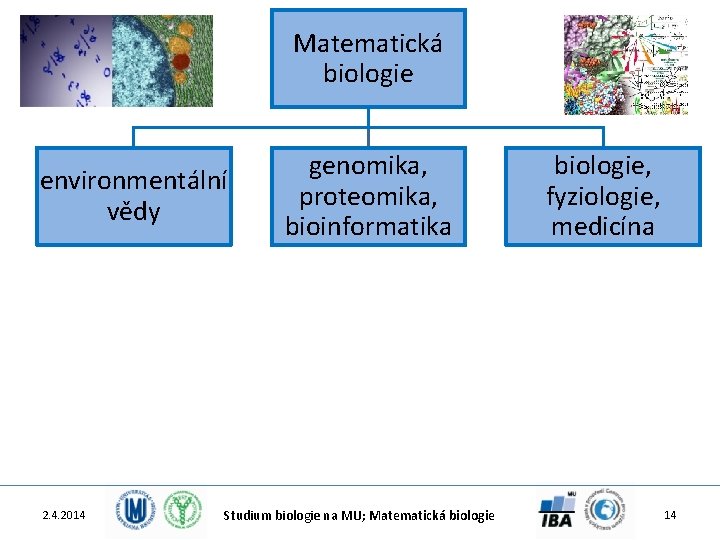 Matematická biologie environmentální vědy 2. 4. 2014 genomika, proteomika, bioinformatika Studium biologie na MU;