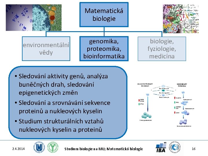 Matematická biologie environmentální vědy genomika, proteomika, bioinformatika biologie, fyziologie, medicína • Sledování aktivity genů,