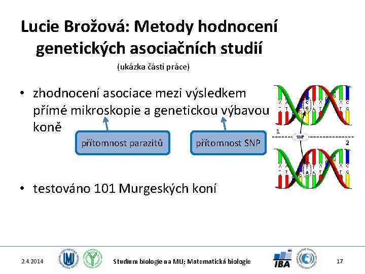 Lucie Brožová: Metody hodnocení genetických asociačních studií (ukázka části práce) • zhodnocení asociace mezi