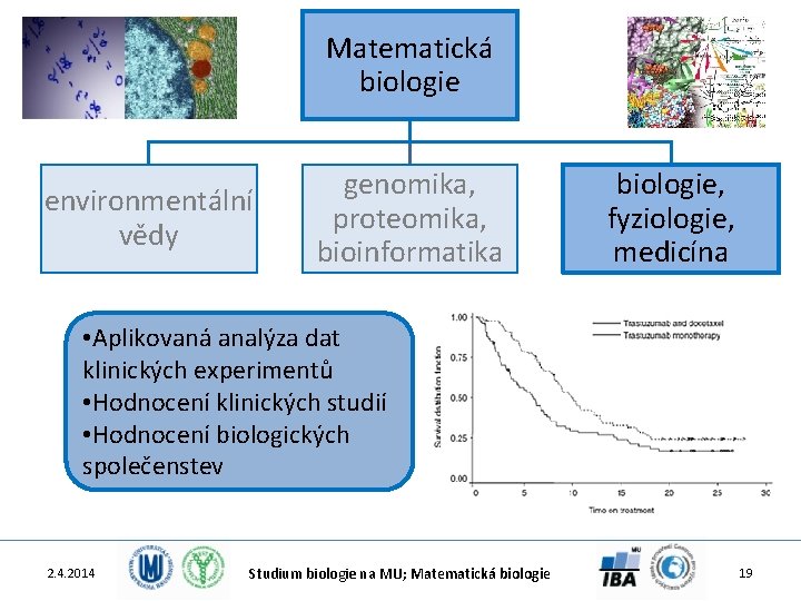 Matematická biologie environmentální vědy genomika, proteomika, bioinformatika biologie, fyziologie, medicína • Aplikovaná analýza dat