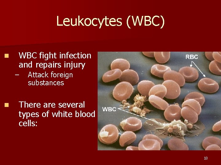 Leukocytes (WBC) n WBC fight infection and repairs injury – n Attack foreign substances