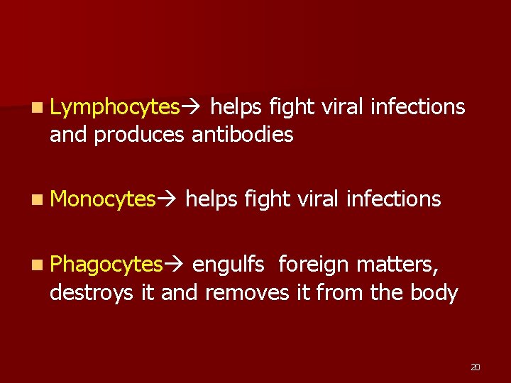 n Lymphocytes helps fight viral infections and produces antibodies n Monocytes helps fight viral