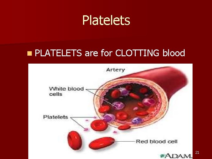 Platelets n PLATELETS are for CLOTTING blood 21 