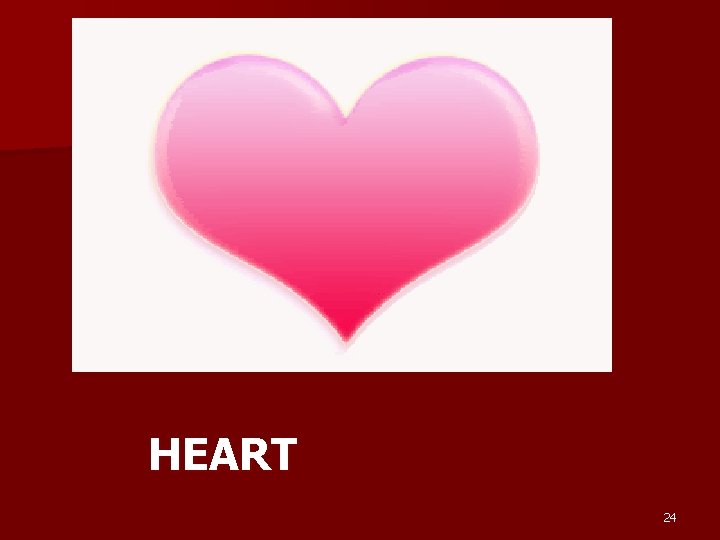 HEART 24 