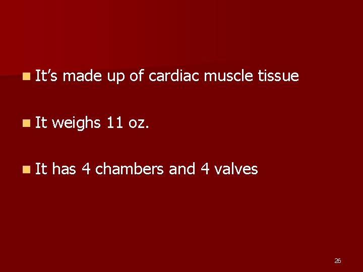 n It’s made up of cardiac muscle tissue n It weighs 11 oz. n