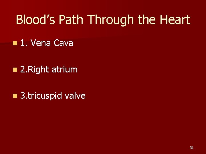 Blood’s Path Through the Heart n 1. Vena Cava n 2. Right atrium n