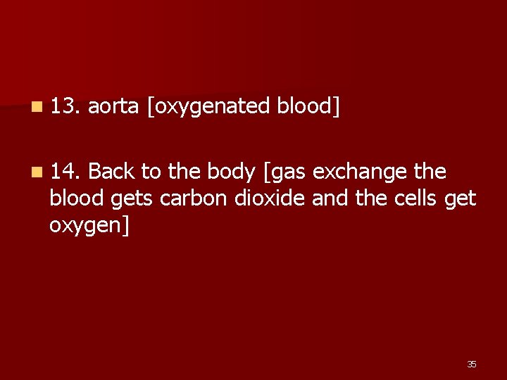 n 13. aorta [oxygenated blood] n 14. Back to the body [gas exchange the