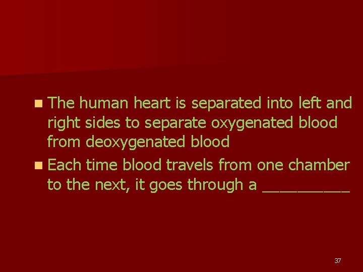 n The human heart is separated into left and right sides to separate oxygenated