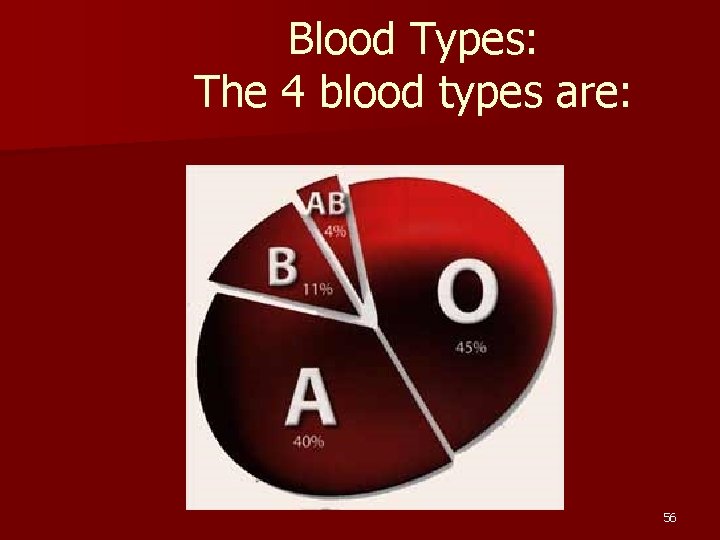 Blood Types: The 4 blood types are: 56 