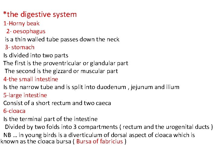 *the digestive system 1 -Horny beak 2 - oesophagus is a thin walled tube