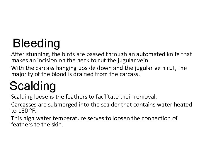 Bleeding After stunning, the birds are passed through an automated knife that makes an