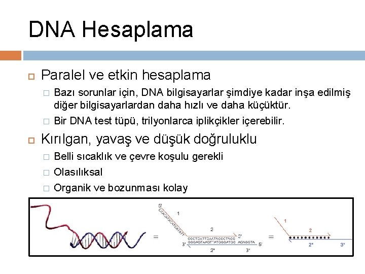 DNA Hesaplama Paralel ve etkin hesaplama � � Bazı sorunlar için, DNA bilgisayarlar şimdiye