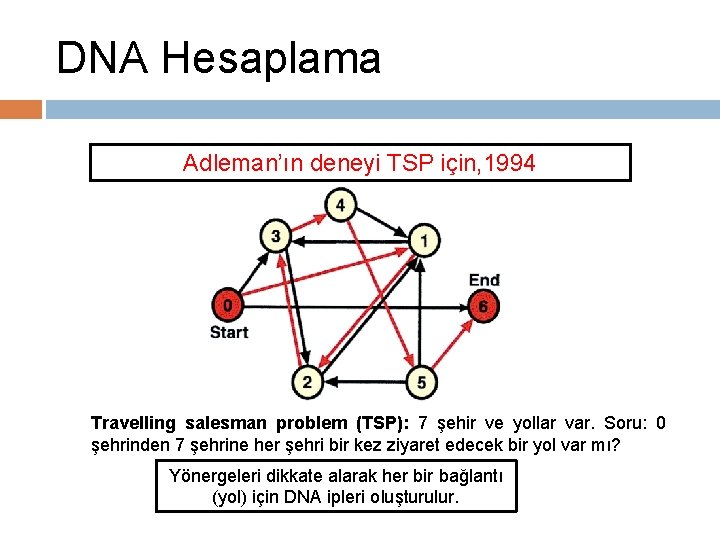 DNA Hesaplama Adleman’ın deneyi TSP için, 1994 Travelling salesman problem (TSP): 7 şehir ve