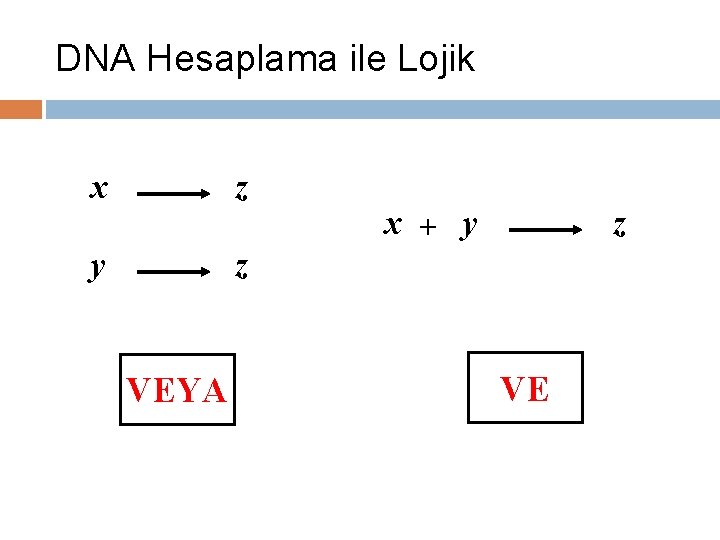 DNA Hesaplama ile Lojik x z y z VEYA x + y z VE