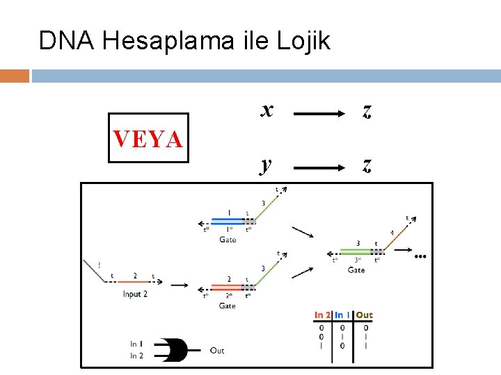 DNA Hesaplama ile Lojik VEYA x z y z 