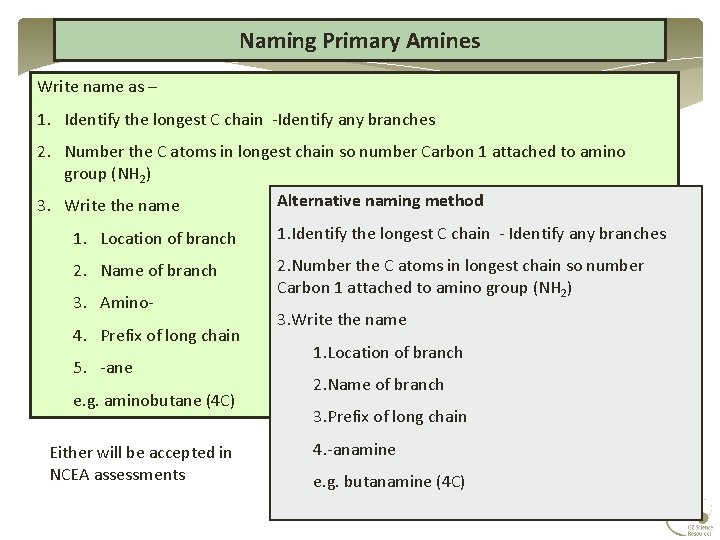 Naming Primary Amines Write name as – 1. Identify the longest C chain -Identify Naming Primary Amines Write name as – 1. Identify the longest C chain -Identify