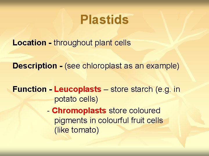 Plastids Location - throughout plant cells Description - (see chloroplast as an example) Function