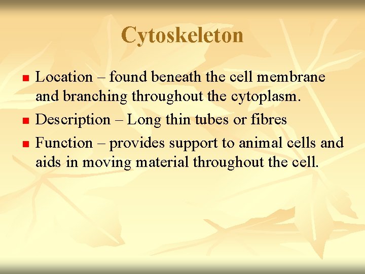 Cytoskeleton n Location – found beneath the cell membrane and branching throughout the cytoplasm.