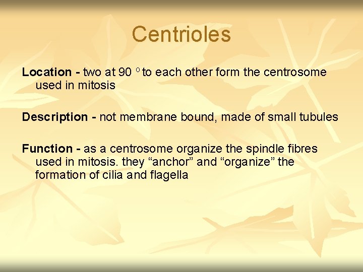 Centrioles Location - two at 90 o to each other form the centrosome used