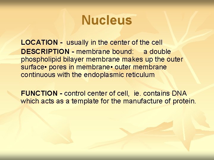 Nucleus LOCATION - usually in the center of the cell DESCRIPTION - membrane bound: