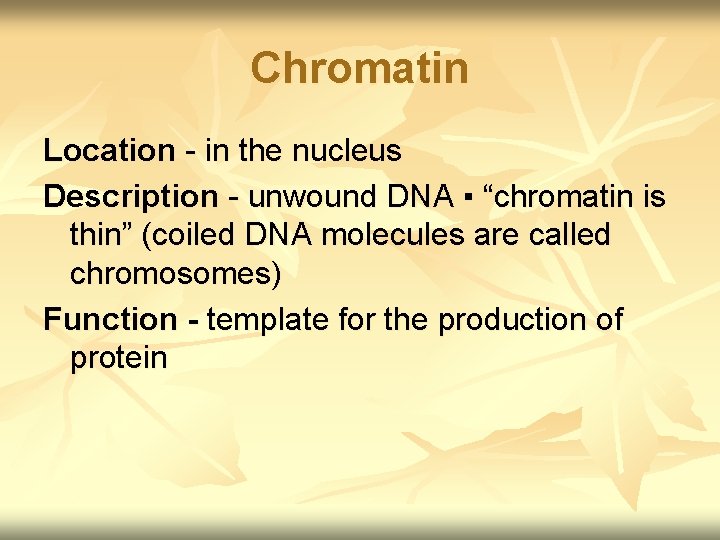 Chromatin Location - in the nucleus Description - unwound DNA ▪ “chromatin is thin”