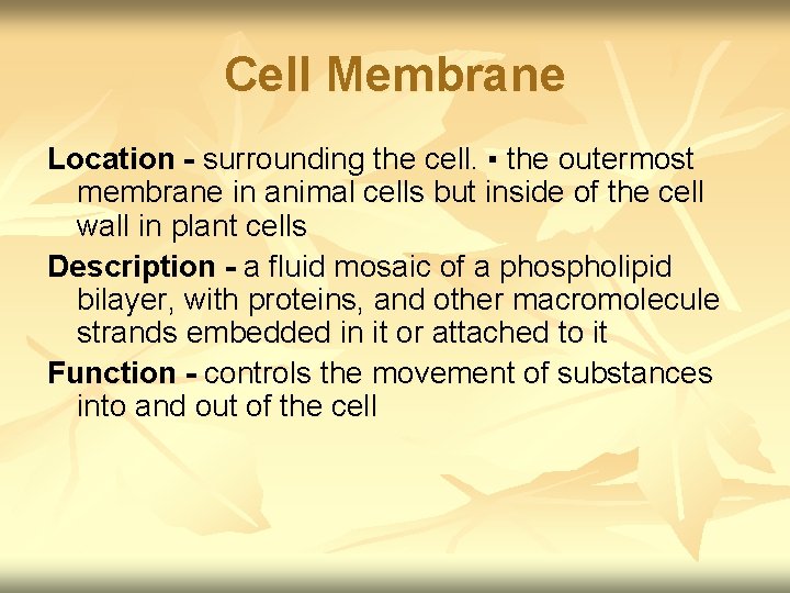 Cell Membrane Location - surrounding the cell. ▪ the outermost membrane in animal cells