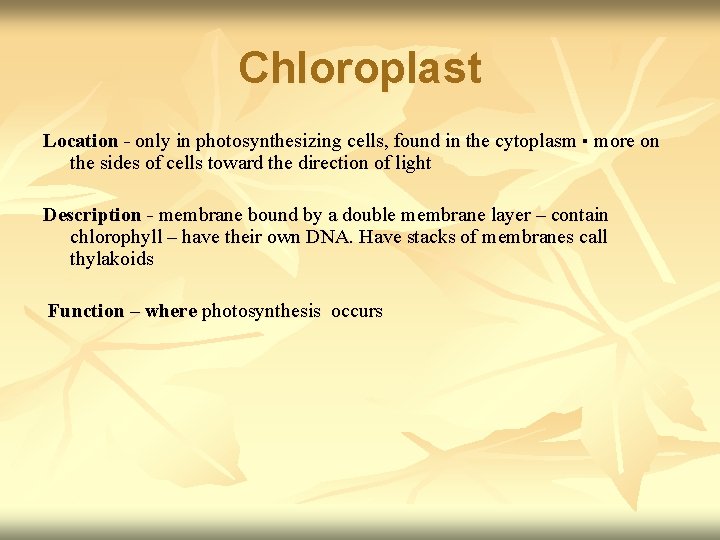 Chloroplast Location - only in photosynthesizing cells, found in the cytoplasm ▪ more on