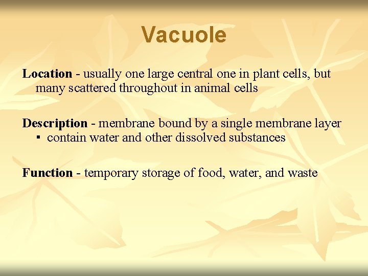 Vacuole Location - usually one large central one in plant cells, but many scattered
