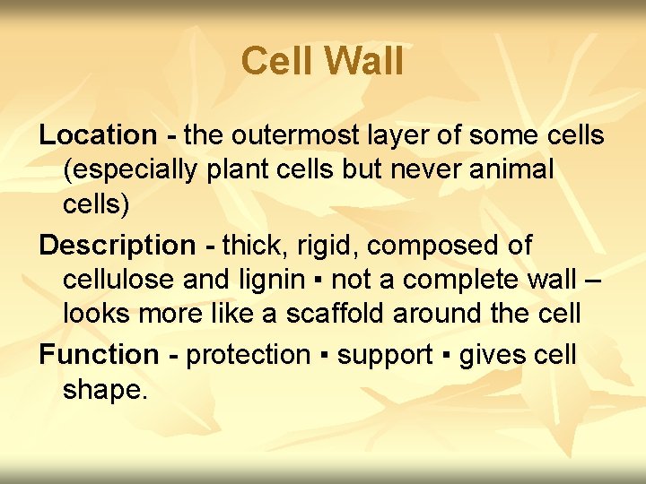 Cell Wall Location - the outermost layer of some cells (especially plant cells but