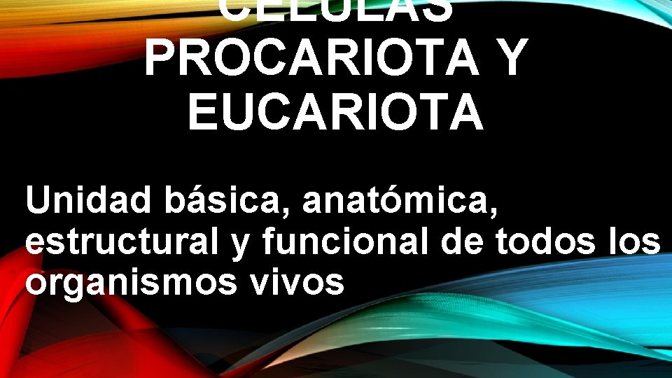 CÉLULAS PROCARIOTA Y EUCARIOTA Unidad básica, anatómica, estructural y funcional de todos los organismos