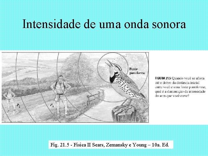 Intensidade de uma onda sonora Fig. 21. 5 - Fisica II Sears, Zemansky e